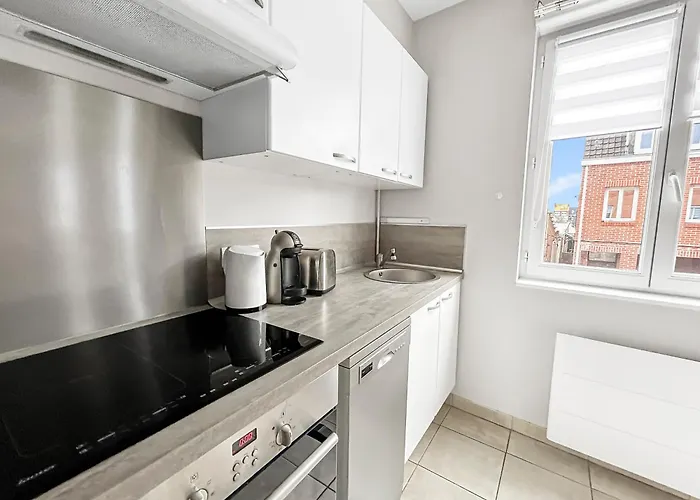 Avec Parking Privé à Deux Pas De Lille Appartement Hallennes-lez-Haubourdin